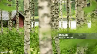 杭城舒压之旅:我的桑拿按摩深度体验记录